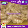 Air Dried Ginger For Canada Market